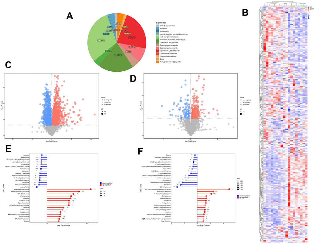 Metabolite comprehensive analysis. (A) Representative Pie chart showing the metabolite classification and proportion. (B) The Heatmap showing the results of the hierarchical clustering analysis for all groups. (C, D) Significantly up-regulated metabolites are represented in red, while those significantly down-regulated are represented in blue, unchanged metabolites are shown in gray. The comparisons between ICH and control groups (C) or ICH + JFG and ICH groups (D) are showed. (E, F) The first 15 most up- or down-regulated metabolites are displayed. The comparisons between ICH and control groups (E) or ICH + JFG and ICH groups (F) are showed.