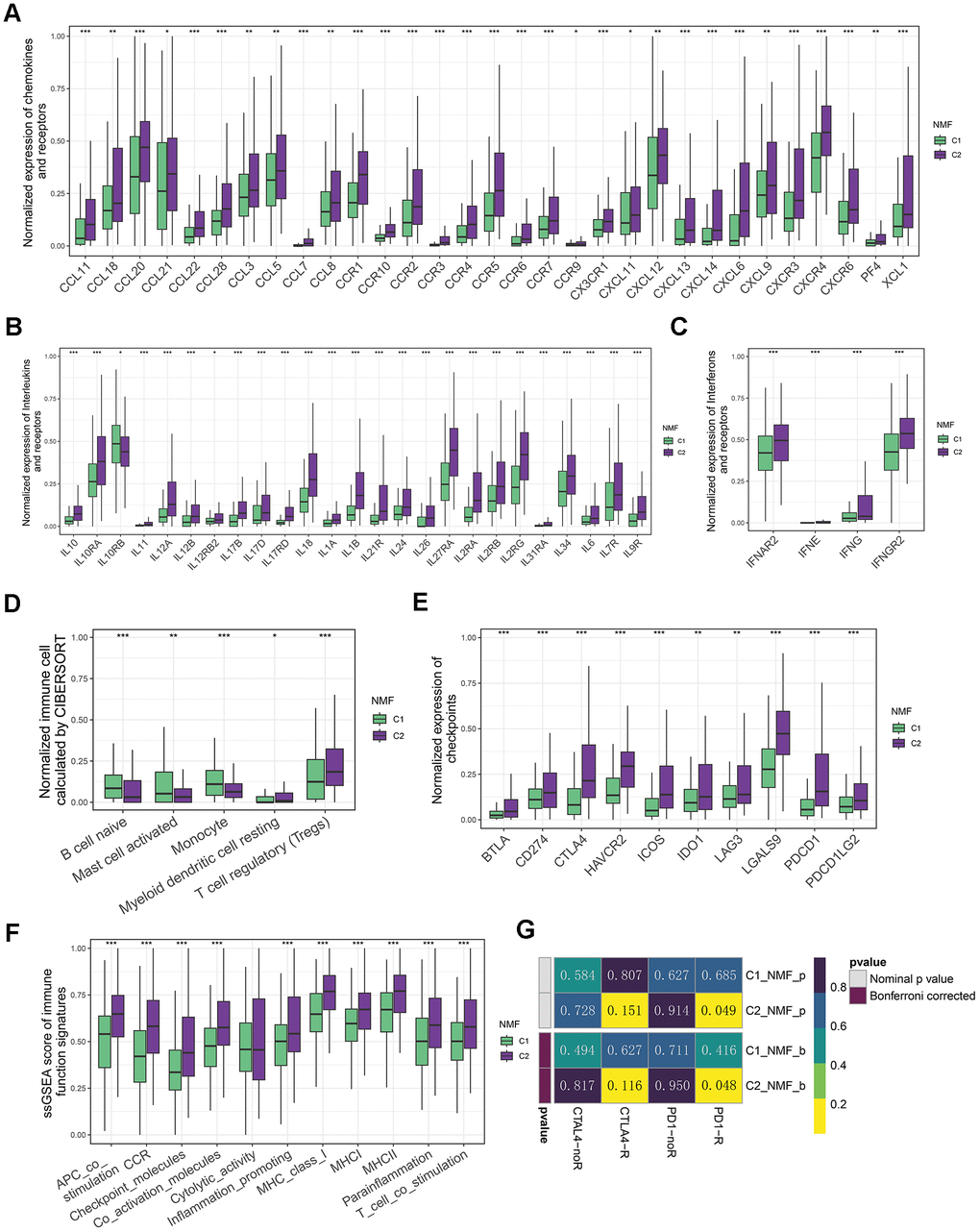 Immune landscapes of two groups. (A) Comparative box plots illustrating normalized expression levels of chemokines and receptors in two groups. (B) Comparative box plots showcasing normalized expression levels of interleukins and their receptors in two groups. (C) Comparative box plots demonstrating normalized expression levels of interferons and their receptors in two groups. (D) Comparative box plots revealing normalized fraction levels of infiltrated immune cells calculated by CIBERSORT in the two clusters. (E) Comparative box plots displaying normalized expression levels of immune checkpoints in two groups. (F) Comparative box plots presenting ssGSEA scores for immune function signatures between two groups. (G) Submap result for predicting the immunotherapy of anti-CTLA4 and anti-PD1 in C1 and C2 groups (*P 