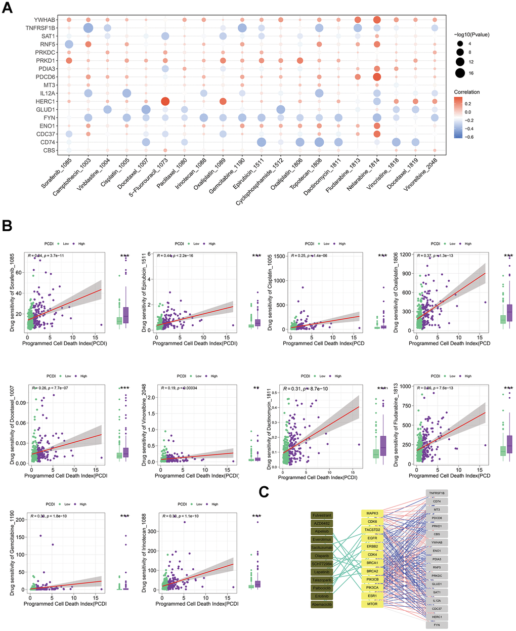 Evaluating the predictive capability of the programmed cell death index for drug sensitivity. (A) The correlation between the drug IC50 and PCD genes in model. (B) The correlation between the IC50 of drugs and PCDI values in patients with high- or low-PCDI, highlighting enhanced sensitivity to standard adjuvant chemotherapy in low PCDI LIHC patients. (C) The association between model genes and established targets for the treatment of LIHC.