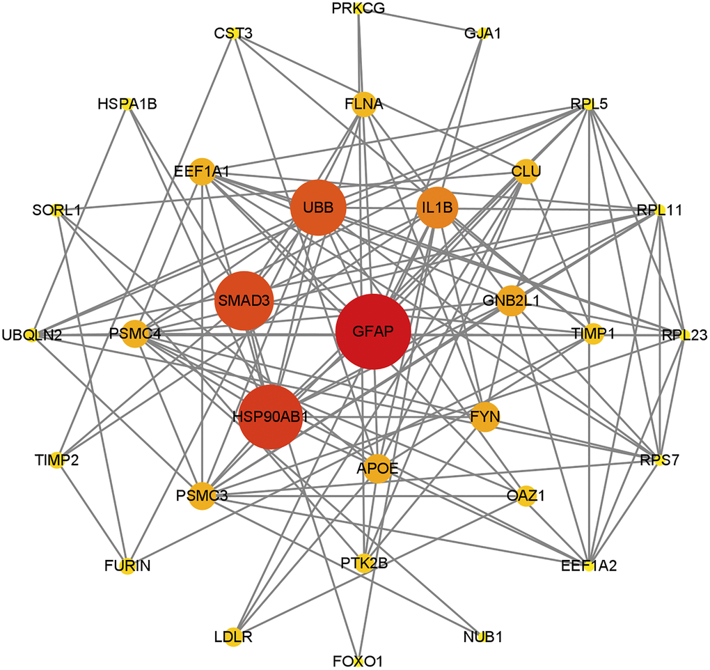 PPI network map of genes contained in S6, was constructed based on STRING database and visualized by Cytoscape. The ranking was performed after filtering by the betweenness centrality algorithm, with nodes closer to the center or colored closer to red indicating higher scores. The results show that GFAP still dominates in this network, and other genes associated with CMA are close to the center of the network.