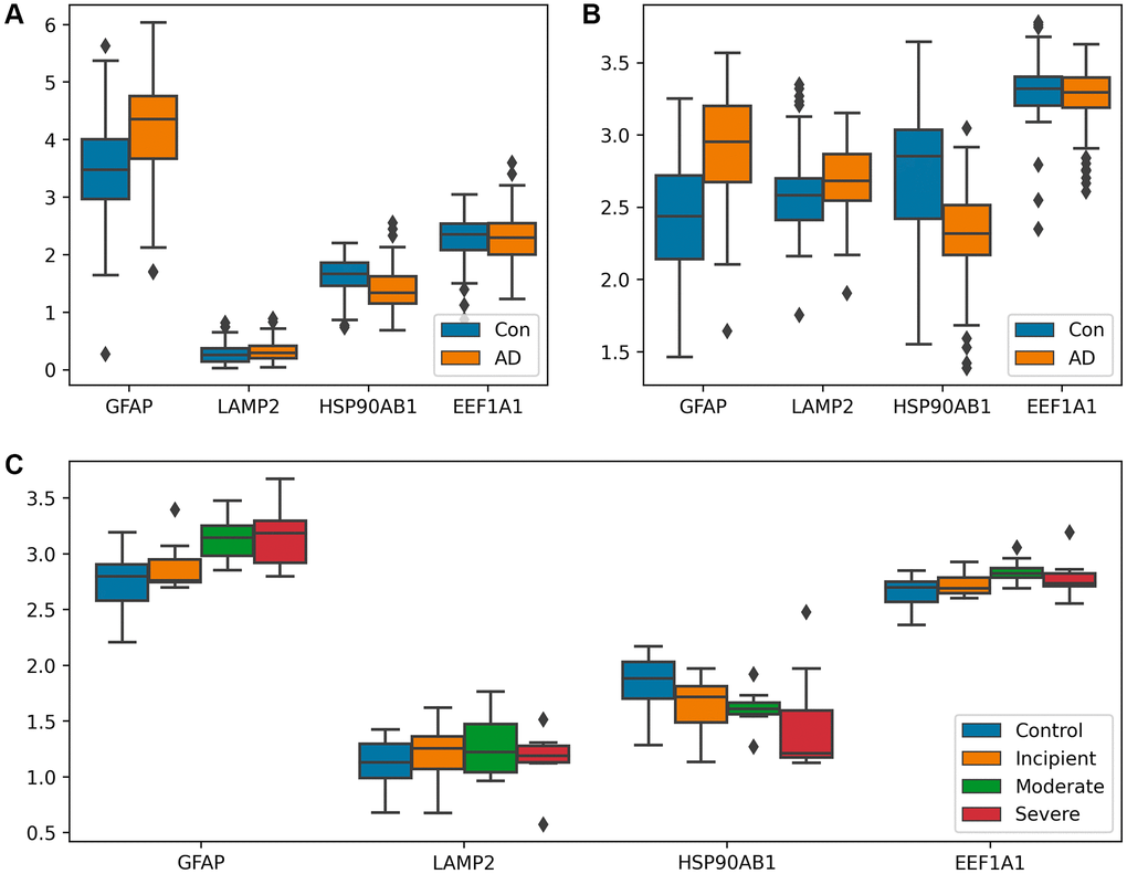 Analysis of differential expression between AD patients and controls. (A, B) Box plots of CMA-related genes differentially expressed in GSE15222 and GSE5281, distinguishing the AD group from the control group. Both GFAP and LAMP2 showed a trend of upregulation in (A) and (B), and HSP90AB1 shows a different trend. (C) Box-plot of CMA-related genes differentially expressed in GSE1297, shown according to control, incipient dementia, moderate dementia, and severe dementia. GFAP expression gradually increased with increasing dementia in (C). Additionally, the T-test was utilized to verify the significance of gene expression, with detailed results available in Supplementary File 6.