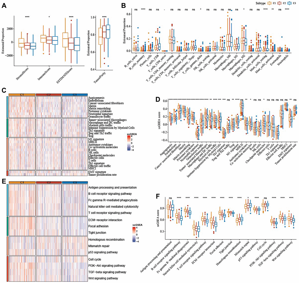 Immune characteristics among the subtypes correlated with ferroptosis in TCGA-OV cohort. (A) The immune infiltration score of the three subtypes were shown in box plot. (B) Abundance of immune cells infiltration of 22 immune cells among three subtypes. (C) 29 TME-related gene signatures among three subtypes were shown in heatmap. (D) 29 gene signatures related to TME were shown in box plots. (E) 15 pathways-correlated gene signatures among three subtypes were shown in the heatmap. (F) Box plots of 15 pathways-related gene signatures among three subtypes. ns represents P > 0.05; *P **P ***P ****P 