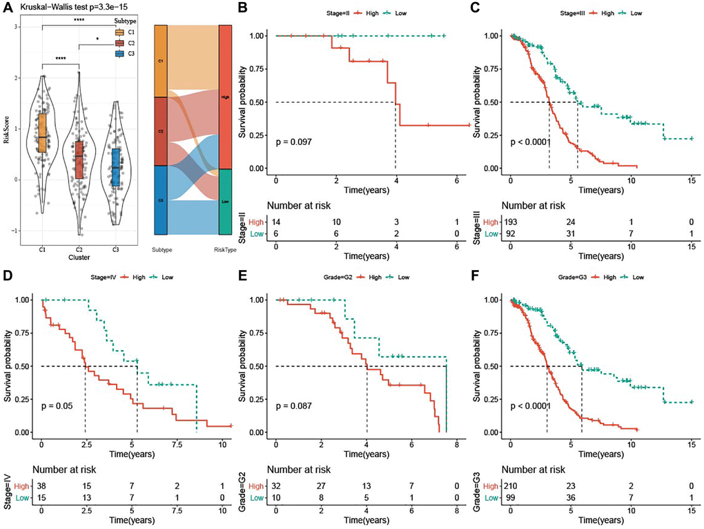 Clinical associations and prognosis analysis of risk score in TCGA-OV cohort. (A) Risk score among the three subtypes was shown in violin plots and Sankey diagram represented the distribution of three subtypes in low-risk and high-risk groups. (B–F) Kaplan-Meier curves for patients with different clinicopathological characteristics (Stage II–IV and Grade G2-G3) in the two risk groups. *P ****P 