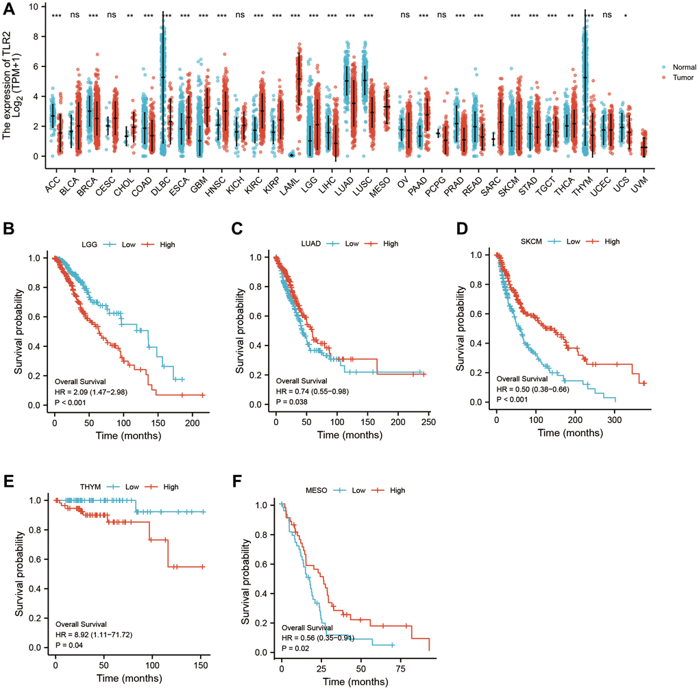 Pan-cancer analysis showed that TLR2 was highly expressed in most tumors (A) and its effect on prognosis (B–F).