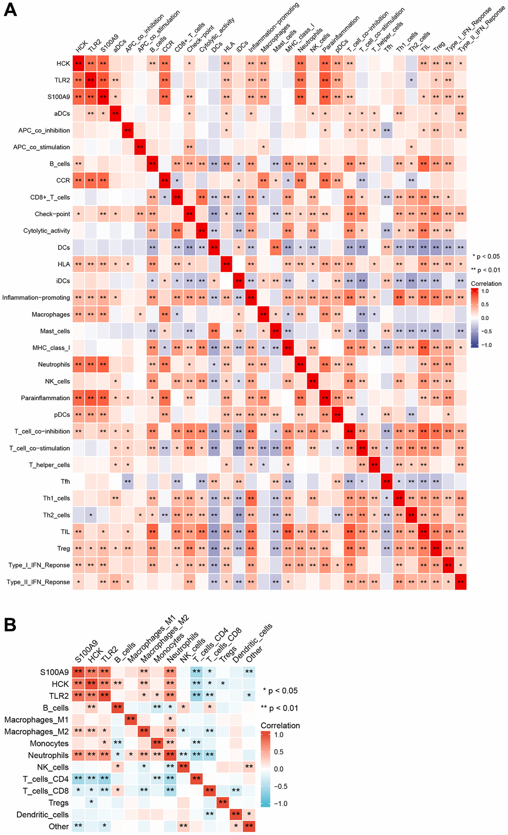 Correlation among immune infiltration cells, processes, and key genes. (A) ssGSEA immune infiltration analyses. (B) quanTIseq immune infiltration analyses.