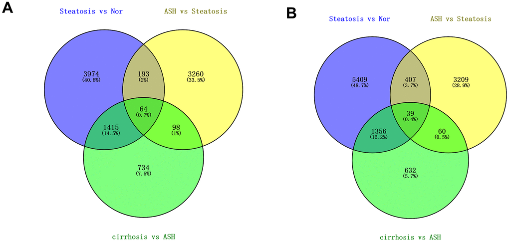 Differentially regulated genes in all three stages of alcoholic liver disease. (A) Venn diagram of up-regulated genes. (B) Venn diagram of down-regulated genes.