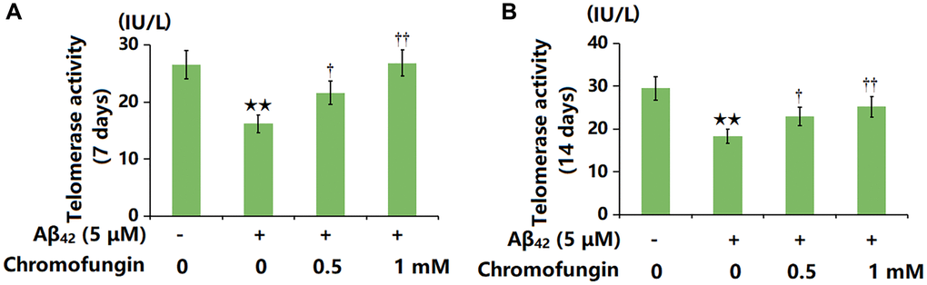 Chromofungin restored telomerase activity against oligomeric Aβ42 in M17 cells. Cells were incubated with oligomeric Aβ42 (5 μM) with or without Chromofungin (0.5, 1 mM). (A) Telomerase activity at 7 days after incubation; (B) Telomerase activity at 14 days after incubation (n = 6, **P †, ††P 42 group).