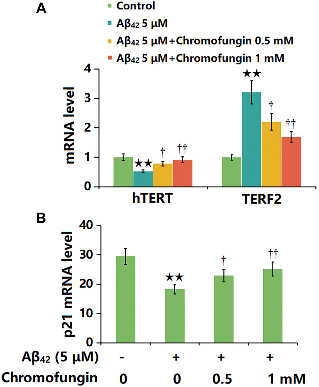Chromofungin affected the expressions of hTERT and TERF2 in oligomeric Aβ42-challenged M17 neuronal cells. Cells were stimulated with oligomeric Aβ42 (5 μM) with or without Chromofungin (0.5, 1 mM) for 24 hours. (A) mRNA expression of hTERT; (C) mRNA of p21 (n = 6, **P †, ††P 42 group).
