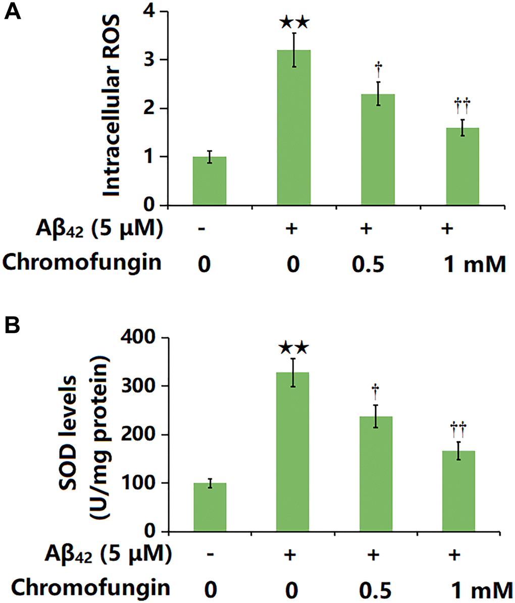 Chromofungin ameliorated oligomeric Aβ42-induced oxidative stress in M17 neuronal cells. Cells were stimulated with oligomeric Aβ42 (5 μM) with or without Chromofungin (0.5, 1 mM) for 24 hours. (A) Intracellular ROS was measured using DCFH-DA staining; (B) The levels of SOD (n = 6, **P †, ††P 42 group).