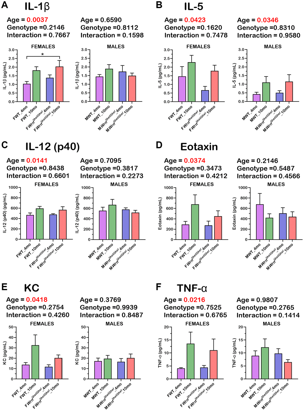 Serum levels of six cytokines significantly altered in the various wild type and WrnΔhel/Δhel female and male groups. (A) IL-1ß. (B) IL-5. (C) IL-12 (p40 subunit). (D) Eotaxin. (E) KC. (F) TNF-α. All the graphs represent the mean of each group. Bars represent the SEM. Two-way ANOVA p-values for age, genotype, and the interaction (age x genotype) are indicated on top of each graph. Two-way ANOVA followed by Tukey’s multiple comparisons test p-value * in the graphs for each comparison. (N = 9–12 males or females per group).