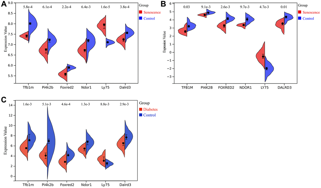 Expression of key genes related to diabetic vascular aging. (A) Expression of Tfb1m1, Pi4k2b, Foxred2, Ndor1, Ly75 and Dalrd3 in GSE66280 dataset. (B) Expression of TFB1M1, PI4K2B, FOXRED2, NDOR1, LY75, DALRD3 in GSE171663 dataset. (C) Expression of Tfb1m1, Pi4k2b, Foxred2, Ndor1, Ly75 and Dalrd3 in the merged diabetic vasculopathy dataset (merged GSE121487 and GSE57329 datasets).