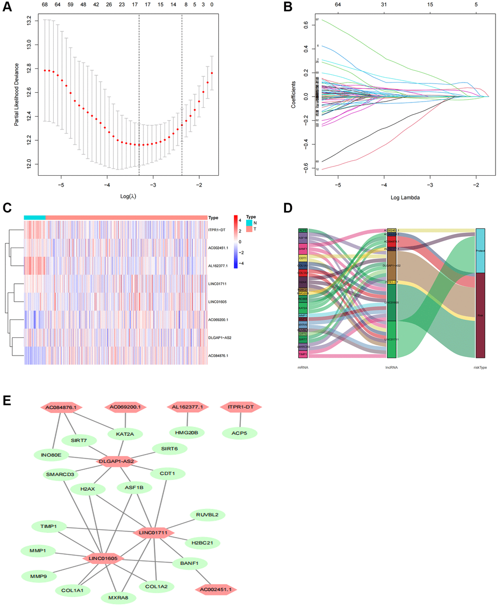 Screening, expression levels, and lncRNA-mRNA networks of eight TR-related lncRNAs in predicted signals. (A) Ten-fold cross-validation error rate plots. (B) LASSO coefficient profiles of TR-related lncRNAs. (C) Expression levels of eight TR-related lncRNAs in ccRCC and normal tissues. (D) Co-expression networks of prognostic TR-related lncRNAs. (E) Multinomial plots of prognostic TR-related lncRNAs. Abbreviations: lncRNAs: long-chain non-coding; ccRCC: renal clear cell carcinoma.