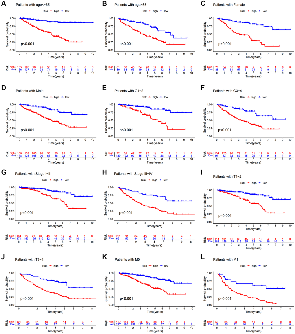 Kaplan-Meier survival curves of patients divided into high- and low-risk groups according to the ranking of different clinicopathological variables. (A, B) Age. (C, D) Gender. (E, F) Grade. (G, H) Stage. (I, J) T Stage. (K, L) M Stage. T, tumor size. M, distant metastasis.