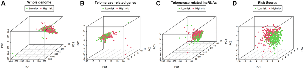 PCA profiles showed patient distribution based on (A) Genome-wide; (B) Telomerase-related genes; (C) Telomerase-related lncRNAs; and (D) Risk score. In the high- and low-risk groups, red and green dots were more strongly separated.