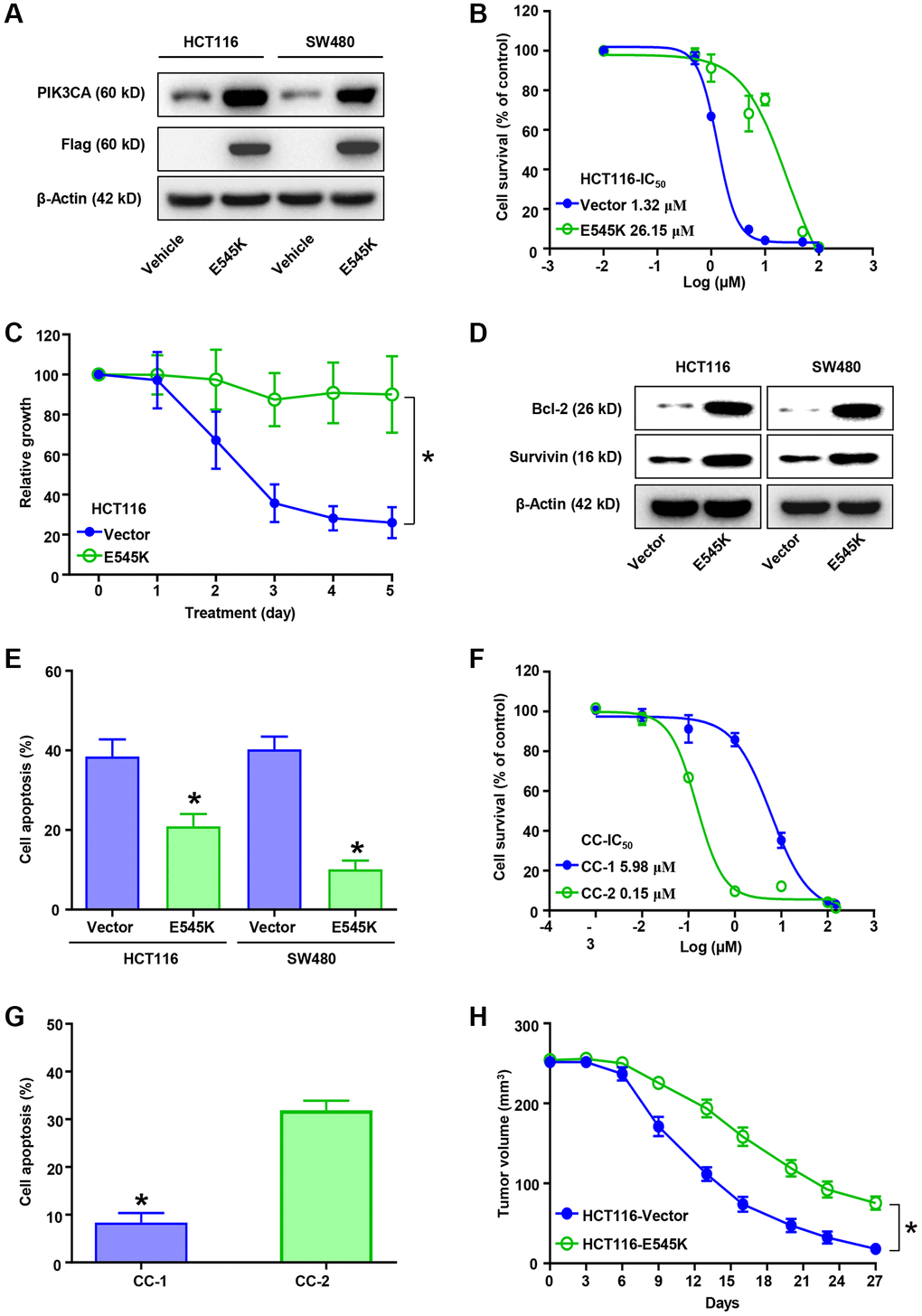 PIK3CA-E545K promotes L-OHP resistance in colorectal cancer cells. (A) Protein levels of PIK3CA, Flag and β-actin in PIK3CA-E545K infected HCT116 and SW480 cells were analyzed by Western blotting. β-actin was used as loading control. (B) IC50 of L-OHP was determined by treating PIK3CA-E545K or empty vector infected HCT116 cells in a dose dependent manner. (C) Infected HCT116/E545K cells were challenged with L-OHP (2 μM), which showed increased resistance to L-OHP than the control. (D) Western blot analysis of Bcl-2 and Survivin expression in PIK3CA-E545K infected HCT116 and SW480 cells following 2 μM L-OHP treatment. (E) The percentage of cell apoptosis activation after 48 hours of 2 μM L-OHP exposure was measured by FITC-Annexin V/PI double staining of flow cytometry. (F) IC50 of primary colon cancer cells, CC-1 and CC-2, were analyzed with cell viability with gradient L-OHP treatment. Their IC50 were 5.98 μM and 0.15 μM, respectively. (G) Cell apoptosis percentage of CC-1/2 with L-OHP treatment was analyzed as (E). Results are representative of at least three independent experiments. (H) Effect of PIK3CA-E545K expression in L-OHP resistance in vivo was analyzed with subcutaneously injected HCT116 cells (n = 6 each group). L-OHP (10 mg/kg) was intraperitoneally administrated once every 3 days. Xenograft tumor volumes were measured with a caliper. The tumor growth inhibition was calculated. p-values *.