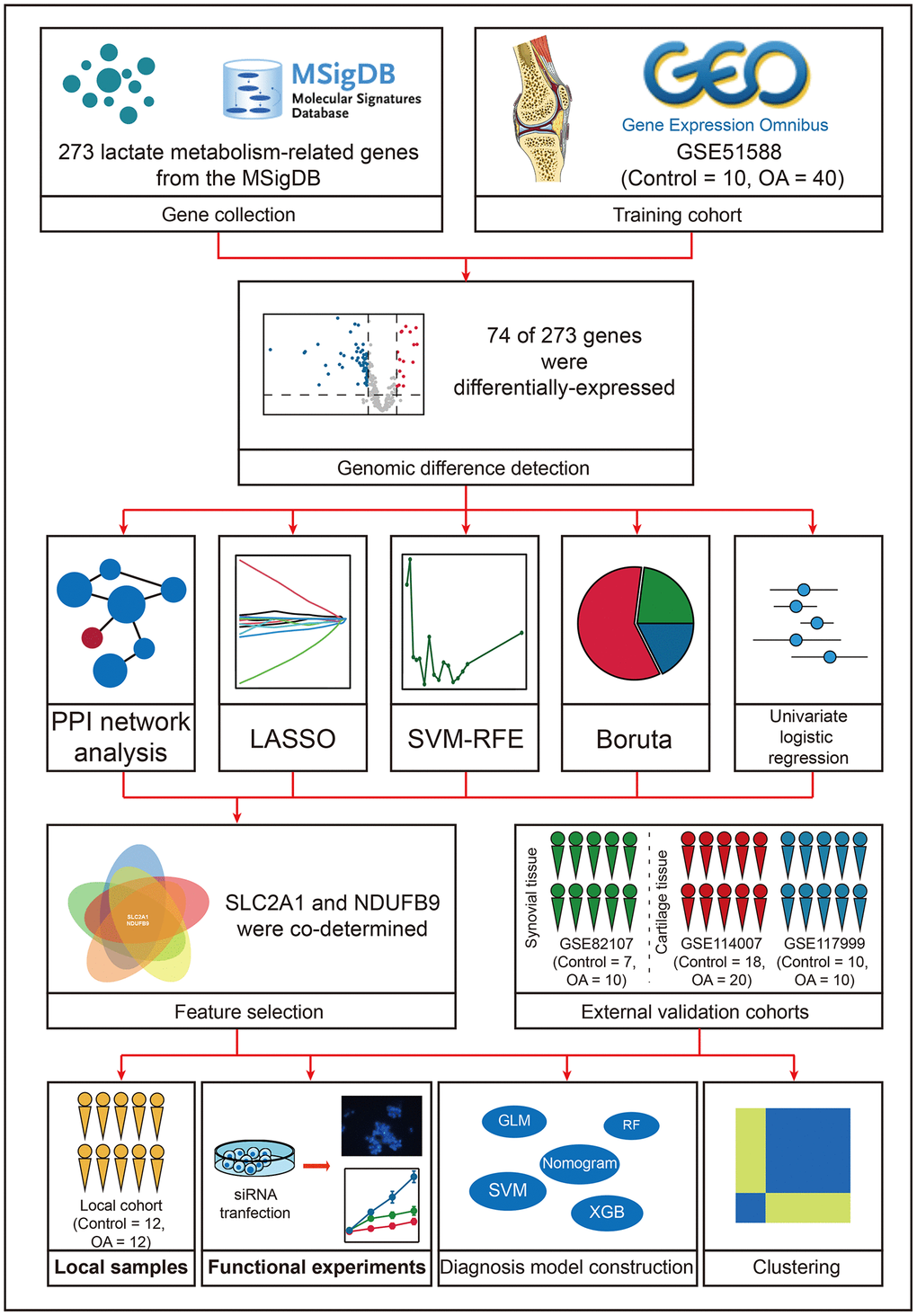 The workflow of the present study.