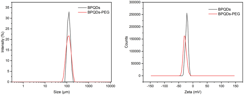 Particle size distribution and zeta potential of black phosphorus quantum dots.