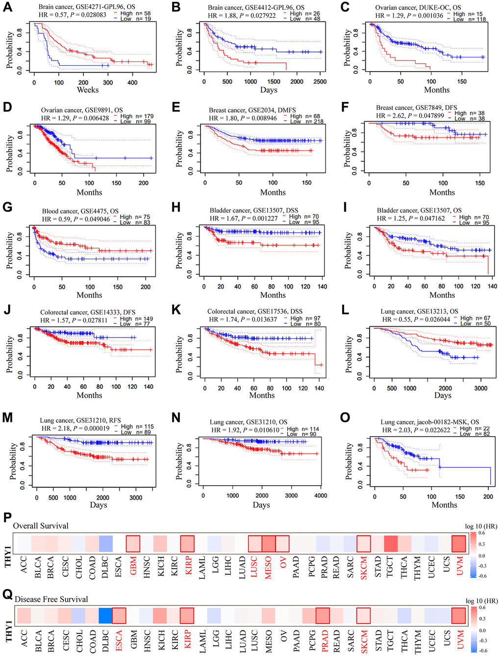 The prognostic significance of up-regulated THY1 in many types of cancers. (A–O) Relationships between higher expression of THY1 and prognosis in different types of cancers in PrognoScan database. (P) The prognostic value (OS) of differentially expressed THY1 in 33 types of cancer form TCGA in GEPIA database. (Q) The prognostic value (DFS) of differentially expressed THY1 in 33 types of cancer from TCGA in GEPIA database. Abbreviations: OS: overall survival; DFS: disease-free survival; DMFS: disease-metastasis free survival; DSS: disease specific survival; RFS: relapse free survival.