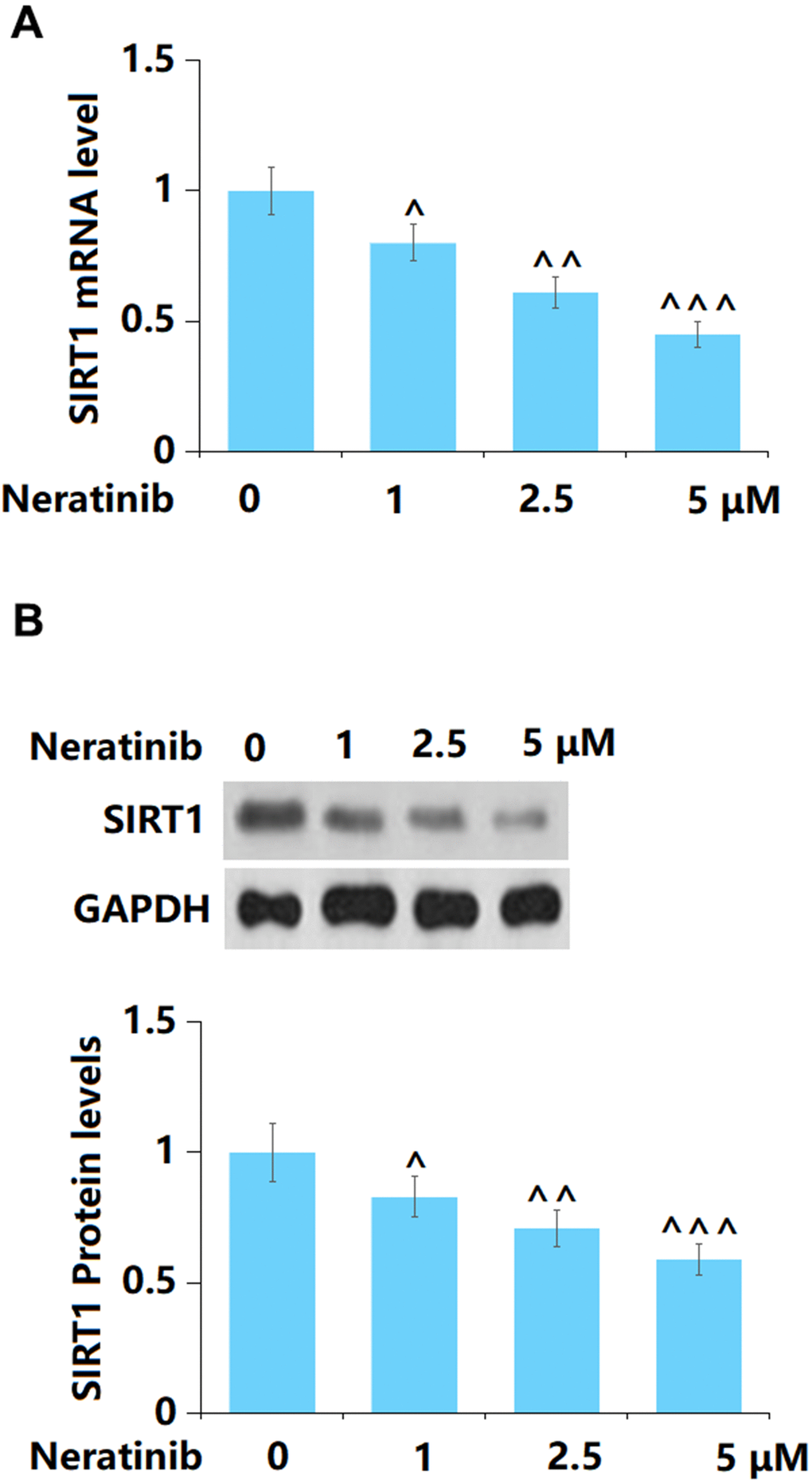 The effects of Neratinib in the expression of SIRT1. (A) mRNA of SIRT1; (B) Protein levels of SIRT1 as measured by Western blot (^, ^^, ^^^, P
