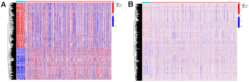 Expressions of the 1350 mRNAs and 1469 DNA methylation sites. (A) Heatmap (blue: low expression level; red: high expression level) of the 1350 mRNAs between the normal (N, blue) and the tumor tissues (T, red). (B) Heatmap (blue: low expression level; red: high expression level) of the 1469 DNA methylation sites between the normal (N, blue) and the tumor tissues (T, red).