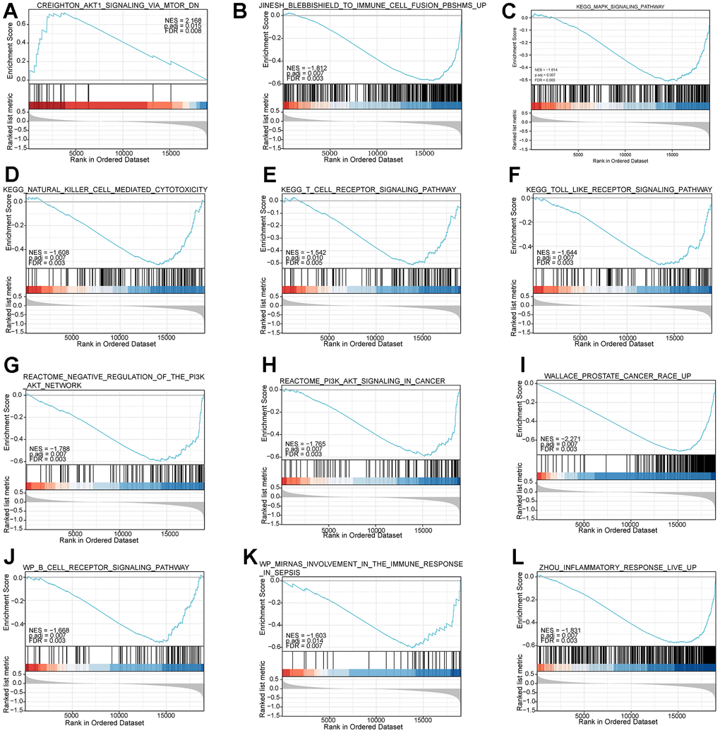 Functional enrichment analysis based on the risk model of the 7-mRNAs by GSEA. (A–L) give information on top pathways enriched in the high- and low-risk groups.