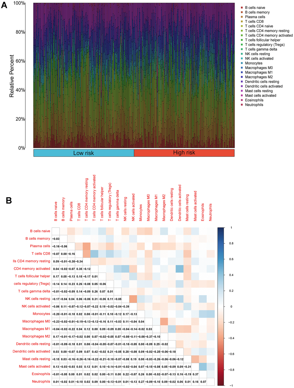 Compositions of infiltrated immune cells between low-risk and high-risk groups in TCGA-PRAD. (A) Abundance of 22 immune cell types in TCGA-PRAD. (B) Correlation heatmap of the immune cells.