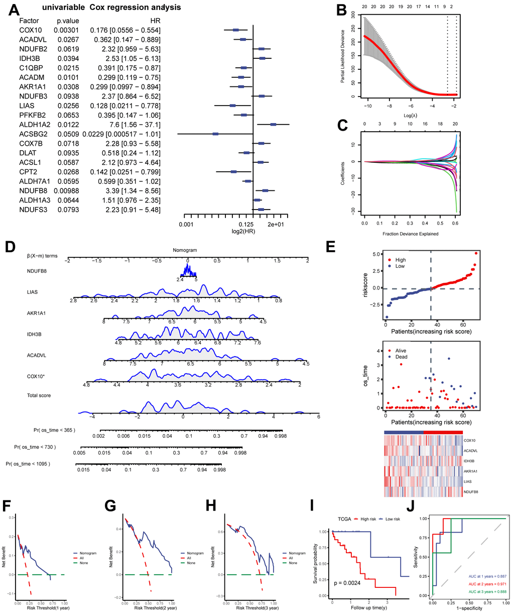 Construction of MMRGs prognostic model. (A) Cox unifactor analysis forest map of MMRGs. (B, C) LASSO regression analysis variable trajectory diagram (B), variable screening diagram (C). (D, E) MMRGs Cox Multifactor Analysis nomogram (D), Risk group map (E). (F–H) Prognosis DCA map of Cox multivariate model at 1, 2, 3 years. (I, J) The KM curve (I) and ROC (J). MMRGs: Mitochondrial metabolism-related genes. LASSO: Least absolute shrinkage and selection operator. DCA: Decision curve analysis.