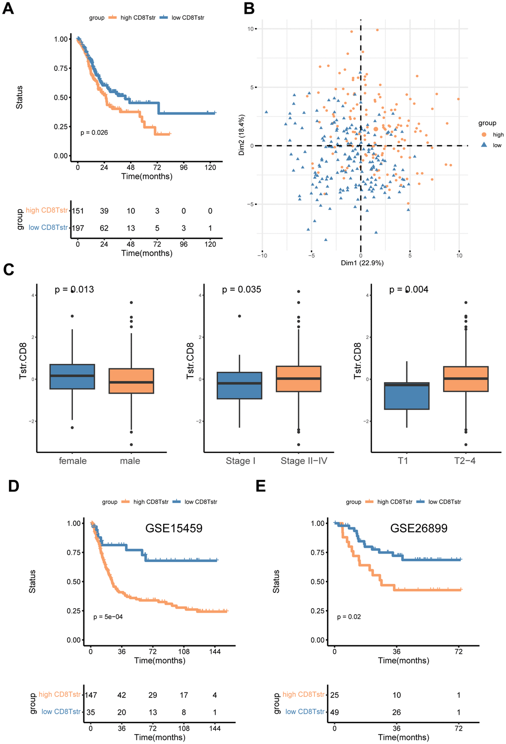 High/low CD8+ TSTR groups classification. (A) Kaplan-Meier survival curves for OS in the training cohort TCGA-GC. (B) PCA for the high/low CD8+ TSTR groups. (C) Infiltration of CD8+ TSTR cells according to gender (female/male), stage (I/II -IV) and T stage (1/2-4). (D) Kaplan-Meier survival curves for OS in the GC dataset GSE15459. (E) Kaplan-Meier survival curves for OS in the GC dataset GSE26899.