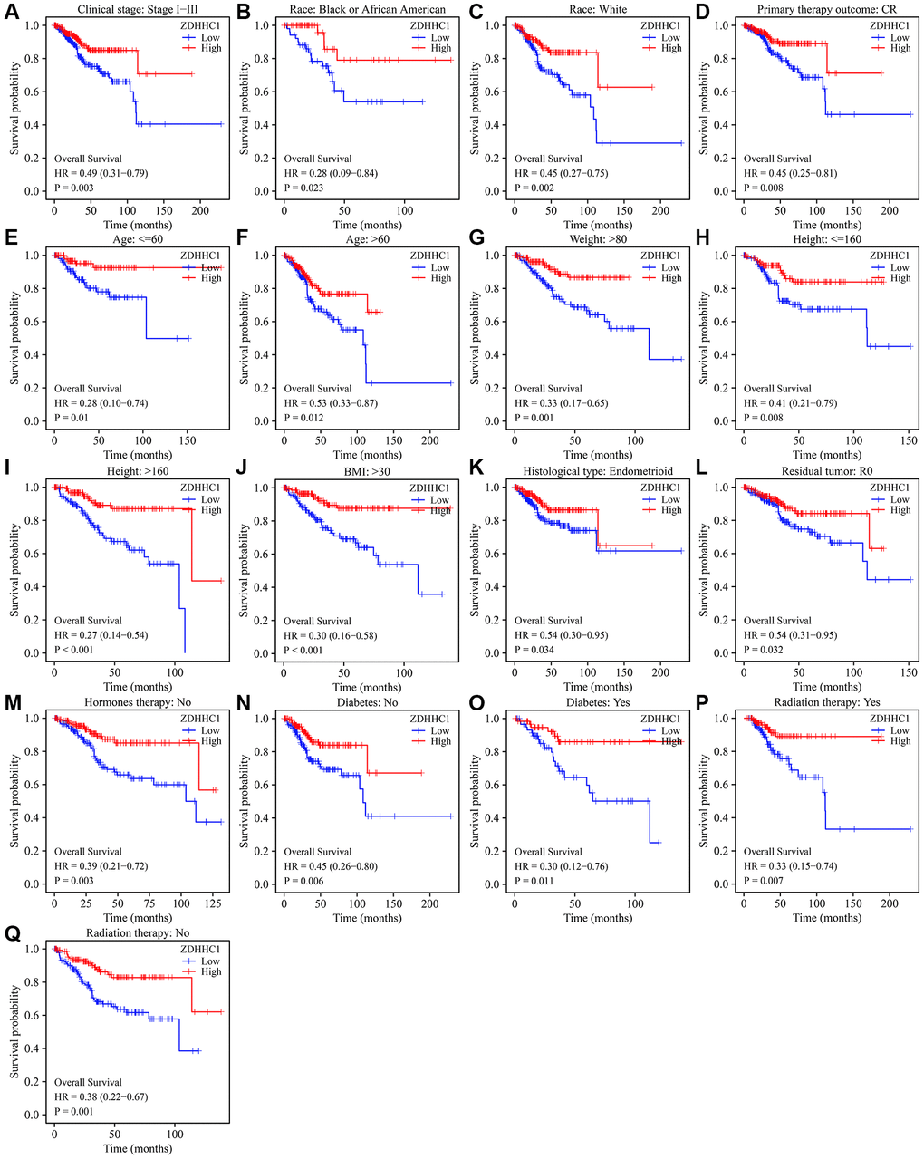 ZDHHC1 expression is associated with poor survival in subgroups of patients with UCEC. (A) Tumor stage I–III. (B) Black or African American. (C) White. (D) CR. (E) Age ≤60. (F) Age >60. (G) Weight >80 kg. (H) Height ≤160 cm. (I) Height >160 cm. (J) BMI >30. (K) Histological type of endometrioid. (L) R0. (M) Without hormone therapy. (N–O) With/without diabetes. (P, Q) With/without radiation therapy. Abbreviations: UCEC: uterine corpus endometrial carcinoma; ZDHHC1: zinc finger DHHC-type containing 1; CR: complete response; BMI: body mass index.