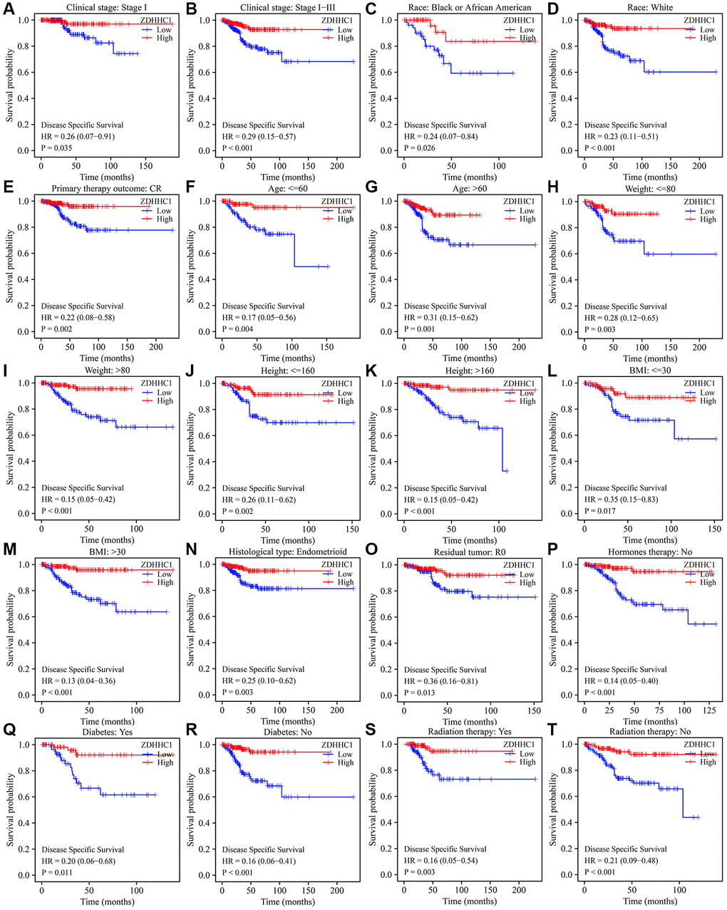 ZDHHC1 expression is related to disease-specific survival in subgroups of patients with UCEC. (A) Tumor stage I. (B) Tumor stage I–III. (C) Black or African American. (D) White. (E) CR. (F) Age ≤60. (G) Age >60. (H) Weight ≤80 kg. (I) Weight >80 kg. (J) Height ≤160 cm. (K) Height >160 cm. (L) BMI ≤30. (M) BMI >30. (N) Histological type of endometrioid. (O) R0. (P) Without hormone therapy. (Q, R) With/without diabetes. (S, T) With/without radiation therapy. Abbreviations: UCEC: uterine corpus endometrial carcinoma; ZDHHC1: zinc finger DHHC-type containing 1; CR: complete response; BMI: body mass index; R0: residual tumor.