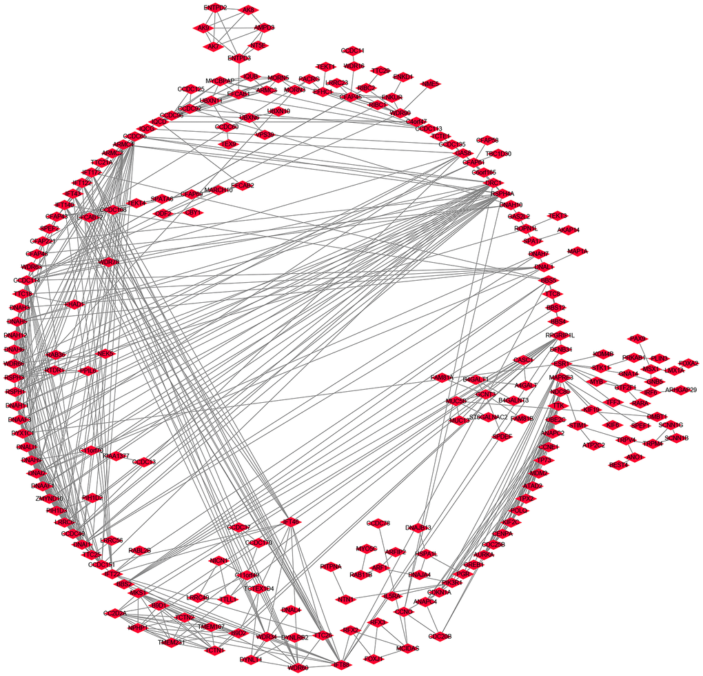 A protein network of ZDHHC1 co-expressed genes.