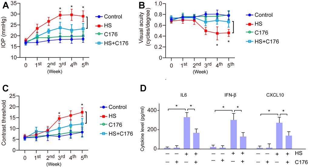Role of cGAS-STING on the inflammatory response and visual function. (A) The role of STING inhibitor C176 on IOP of HS-induced glaucoma mice. (B) The role of C176 on the visual acuity of HS-induced glaucoma mice. (C) The role of C176 on the contrast threshold of HS-induced glaucoma mice. (D) The role of C176 on pro-inflammatory molecule expression. *p