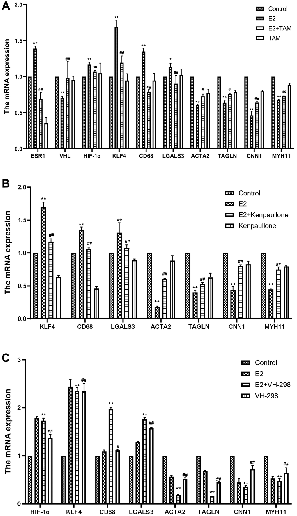 Effect of high-dose estrogen on the expression of MOVAS cell markers. (A) MOVAS cells were treated with 10 μM E2 with or without TAM. After 4 days, the contraction phenotypic markers and macrophage-like phenotypic markers of MOVAS cells were detected by qRT-PCR as well as the mRNA expression of related cellular pathways (n = 4). (B) MOVAS cells were treated with 10 μM E2 with or without kenpaullone. After 4 days, the mRNA expression levels of related genes were detected by qRT-PCR (n = 4). (C) MOVAS cells were treated with 10 μM E2 with or without VH-298 for 4 days, and the mRNA expression levels of related genes were detected by qRT-PCR (n = 4). *VS control group, *P **P #VS. E2 group, #P ##P 