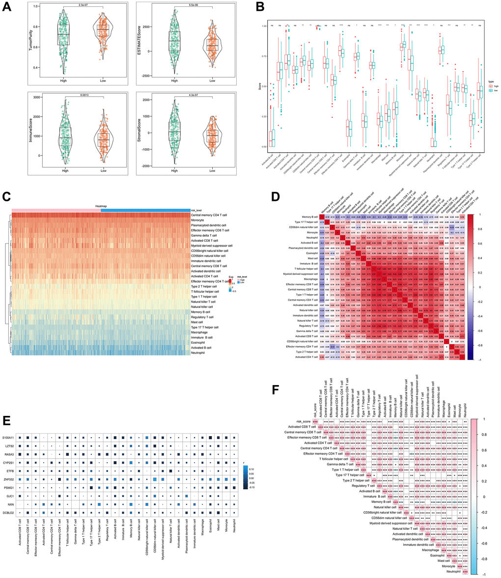 Analysis of immune cell infiltration with SERGs risk group. (A) The ESTIMATE score, Immune score, and Stromal score between high- and low- SERGs risk groups were compared. (B) Violin diagram of 28 type immune cells in two groups. (C) Immune cells assessment between two groups. (D) Analysis of correlation in 28 type immune cells. (E) Correlation analysis of ten prognostic biomarkers (S100A11, LZTS2, CYP2S1, ZNF552, PSMG1, GJC1, NXN and DCBLD2) and immune cells. (F) Correlation analysis of risk score and immune cells.