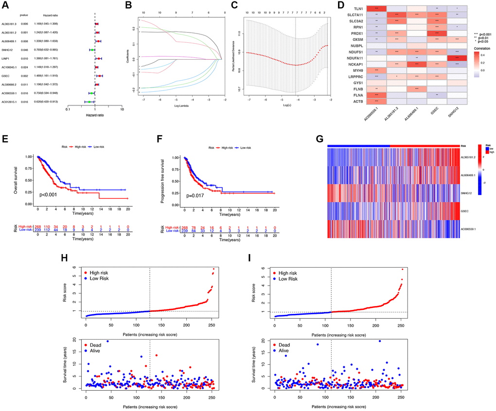 Construction of the disulfidptosis-related prognostic signature. (A) 10 DRG-lncRNAs significantly correlated with the survival prognosis of LUAD patients. (B) LASSO regression based on optimal parameter (lambda) construction model. (C) LASSO regression coefficient curve. (D) Multivariate Cox regression analysis of DRG-lncRNA with prognostic significance. (E, F) The Kaplan-Meier curve shows different OS and PFS between the low-risk and high-risk groups. (G) A heatmap shows the differential expression of DRG-lncRNAs in the high-risk and low-risk groups. (H) The risk curve of the training group is reordered by disulfidptosis related signature and the scatter plot of the sample survival overview. The green and red dots represent survival and death, respectively. (I) The risk curve of the test group is reordered by disulfidptosis related signature and the scatter plot of the sample survival overview. The green and red dots represent survival and death, respectively. Abbreviations: DRG-lncRNAs: disulfidptosis-related long non-coding RNAs; LUAD: lung adenocarcinoma; LASSO: least absolute shrinkage and selection operator; OS: overall survival; PFS: progression-free survival.