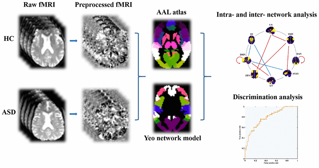 The fMRI data preprocessing and network analysis depicted via flow diagram. Abbreviations: AAL, automated anatomical labeling; fMRI, functional magnetic resonance imaging; ASD, autism spectrum disorder; HC, healthy controls.
