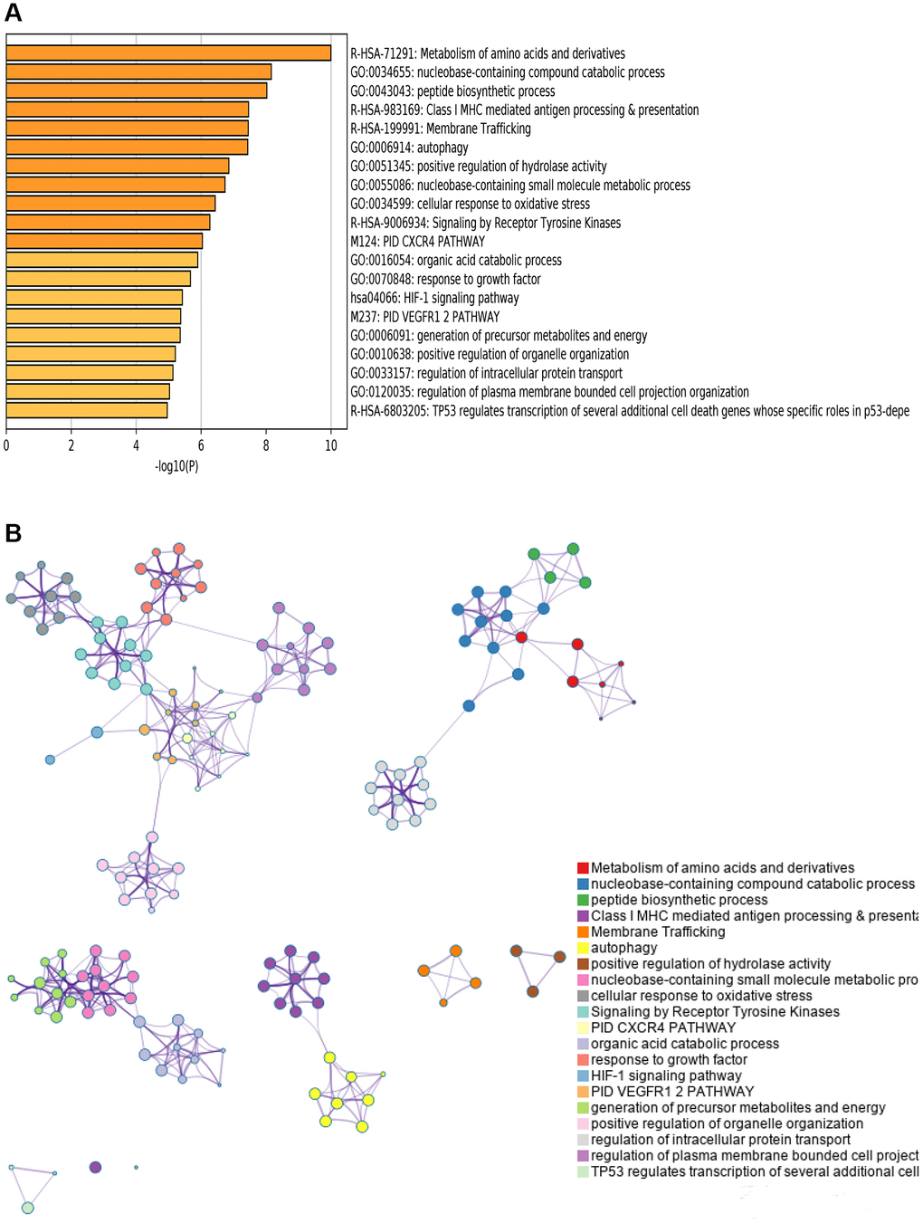 Pathway and functional enrichment analysis. (A) Top 20 pathways and functional enrichment clusters. (B) The 20 MCODE of genes from prognostic-related AS events.