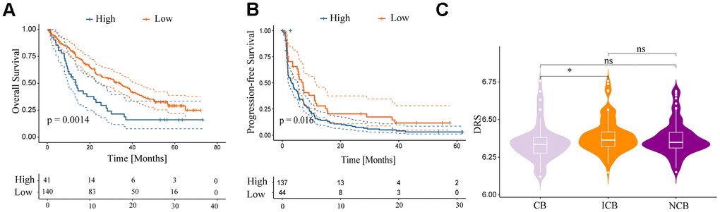 Relationship between DRS and immunotherapy. (A, B) Survival analysis for overall survival and progression-free survival of the two DRS groups in patients with ccRCC who were treated with nivolumab from the RCC-Braun
