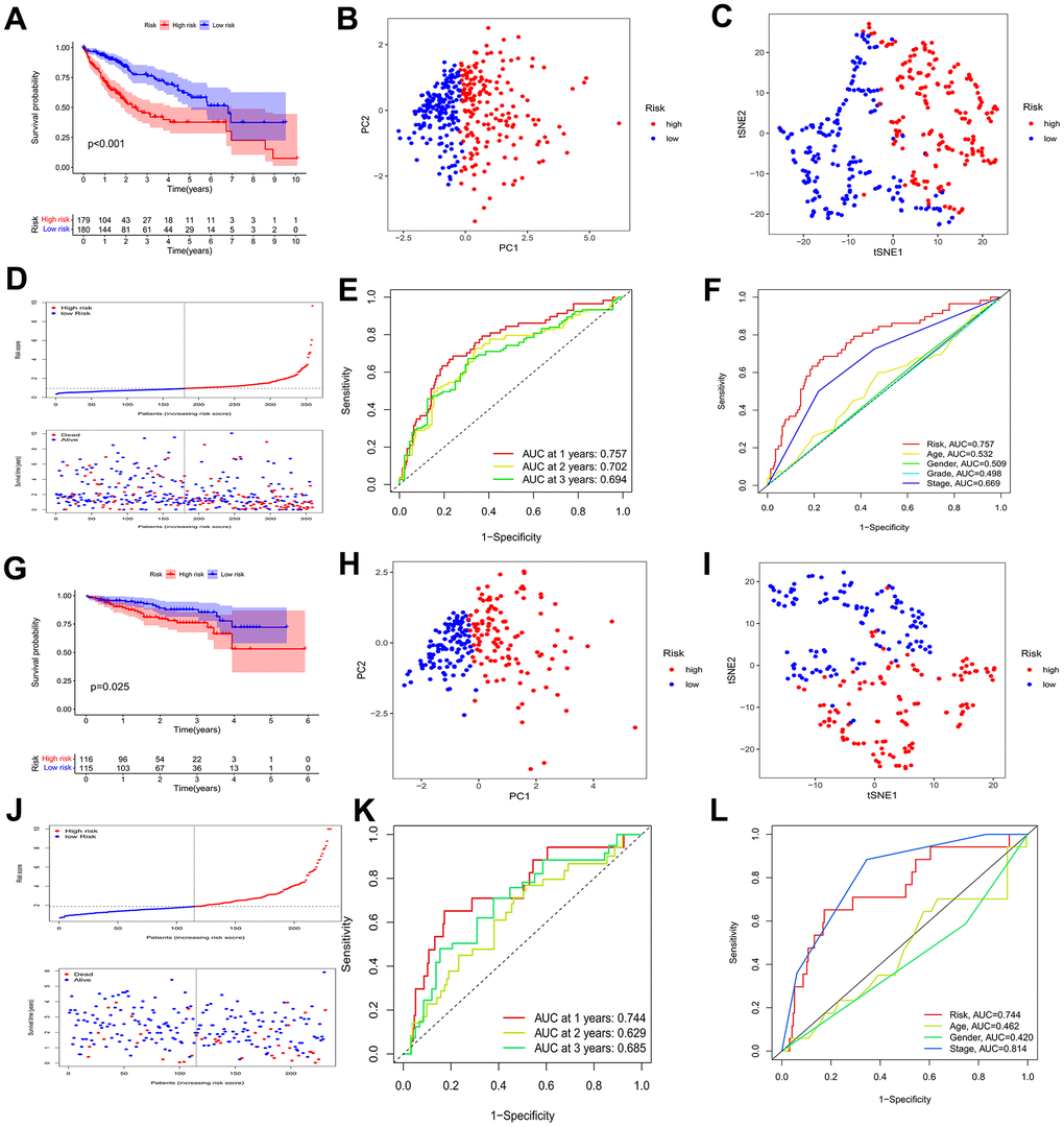Identification of a prognostic risk model for HCC patients. (A) Kaplan–Meier curve of HCC patients in the TCGA cohort. (B, C) PCA and t-SNE analysis showing a remarkable difference in transcriptomes between the two risk categories in the TCGA cohort. (D) Scatter plots showing the risk score distribution and patient survival status in TCGA cohort. (E) ROC curves to predict the sensitivity and specificity of 1-, 2-, 3-year survival according to the risk score in the TCGA cohort. (F) Clinical ROC analysis in the TCGA cohort. (G) Kaplan–Meier curve of HCC patients in the ICGC cohort. (H, I) PCA and t-SNE analysis showing a remarkable difference in transcriptomes between the two risk categories in the ICGC cohort. (J) Scatter plots showing the risk score distribution and patient survival status in the ICGC cohort. (K) ROC curves to predict the sensitivity and specificity of 1-, 2-, 3-year survival according the risk score in the ICGC cohort. (L) Clinical ROC analysis in the ICGC cohort.