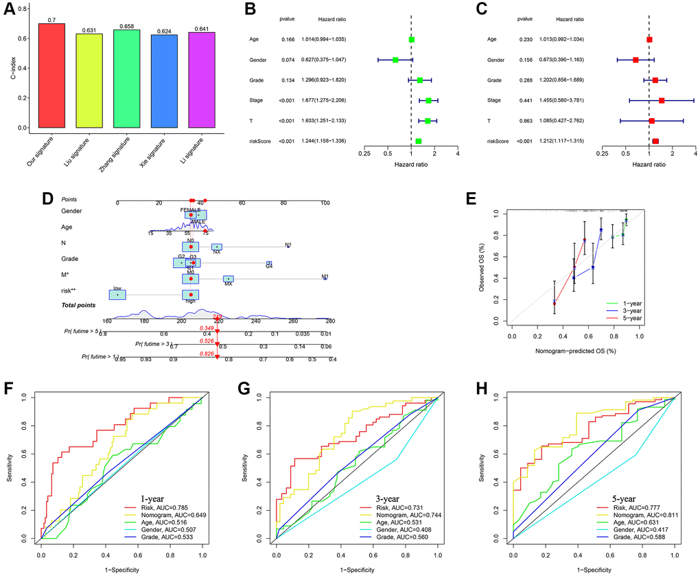Assessing the durability of the gene signature associated with ubiquitination and creating the nomogram. (A) Evaluating four HCC models for comparison. (B) Cox analysis for TCGA-all set, considering only one variable at a time. (C) Cox analysis for TCGA-all set, considering multiple variables as independent factors. (D) The risk score and clinicopathological factors were used to create a predictive nomogram. (E) Calibration curves were created to compare the suggested nomogram with a perfect model. ROC curve analysis using multiple indices was conducted to examine the clinicopathological manifestations and nomogram for survival at 1-, 3-, and 5-year intervals (F–H).