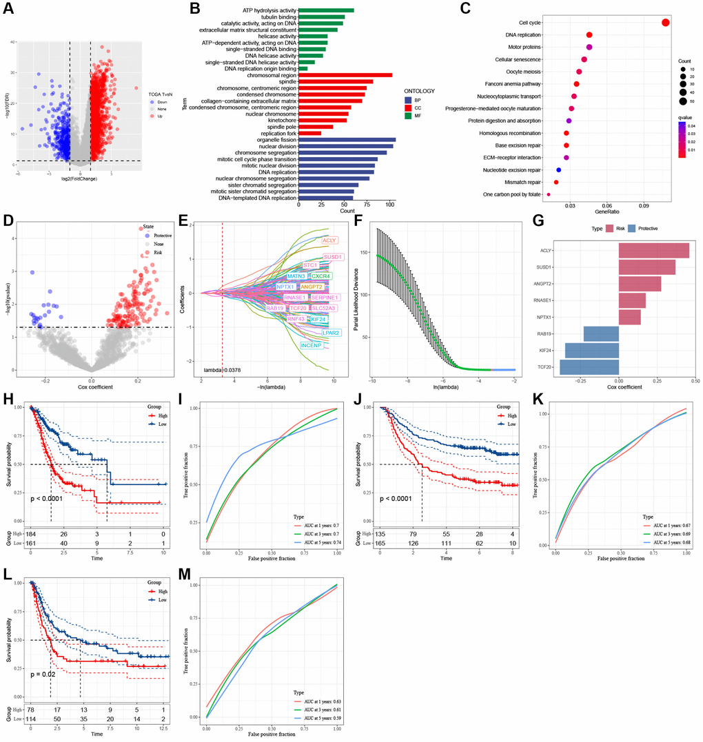 Identification of the hub genes to construct a risk signature. (A) Volcano plot of differentially expressed genes of cancer and normal tissues in TCGA cohort. (B) GO analysis. (C) KEGG analysis. (D) Volcano plot of prognosis-related genes identified from univariate Cox regression analysis. (E) The trajectory of each independent variable with lambda. (F) Plots of the produced coefficient distributions for the logarithmic (lambda) series for parameter selection (lambda). (G) The multivariate Cox coefficients for each gene in the risk signature. (H) K-M curves of risk model constructed by 8 genes in TCGA cohort. (I) ROC curves of risk model constructed by 8 genes in TCGA cohort. (J) K-M curves of risk model constructed by 8 genes in GSE62254 cohort. (K) ROC curves of risk model constructed by 8 genes in GSE62254 cohort. (L) K-M curves of risk model constructed by 8 genes in GSE15459 cohort. (M) ROC curves of risk model constructed by 8 genes in GSE15459 cohort.
