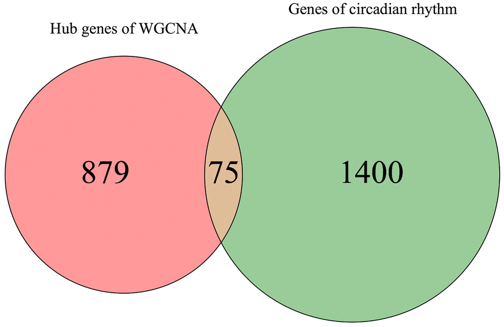 Venn diagram for screening MDD-related CRGs.