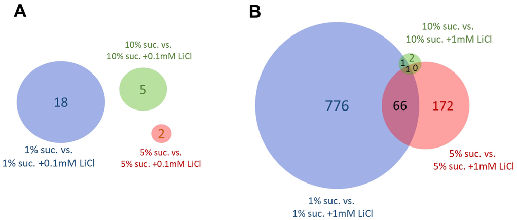 The dietary sucrose content affects the number of genes differentially expressed by lithium. Genes differentially expressed (FDR p-value ≤ 0.05) by (A) 0.1 mM LiCl or (B) 1 mM LiCl supplemented to the experiential diet prepared with either 1%, 5% or 10% sucrose. Overall, the number of genes differentially expressed by lithium in female flies was highest when supplemented to the diet with lowest sucrose content of only 1 %. Suc., sucrose.