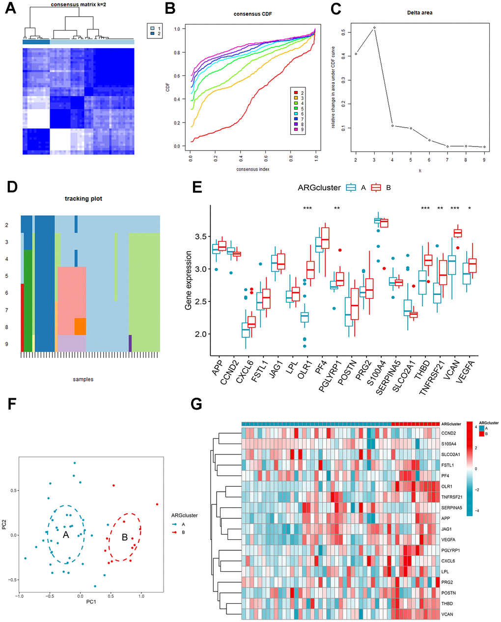 Identification and gene expression analysis of ARG patterns. (A) Consensus matrix with k=2. (B) Cumulative distribution function (CDF) of consensus clustering. (C) Delta area plot of consensus clustering. (D) Tracking plot. The abscissa represented different samples, and various color blocks indicated subtypes. (E) The expression of 18 ARGs in different clusters. (F) Principal component analysis (PCA). (G) Differential expression heat map of 18 ARGs.