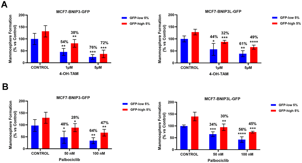 BNIP3(L)-high MCF7 cells show multi-drug resistance to treatment with 4-OH-Tamoxifen and Palbociclib. MCF7 cells stably-transduced with the BNIP3(L)-GFP constructs were subjected to FACS sorting, to isolate the 5% highest GFP (GFP-high) and the 5% lowest GFP (GFP-low) sub-populations. Differential sensitivity of GFP-high and GFP-low subpopulations to 4-OH-Tamoxifen (A) and Palbociclib (B) was evaluated by using the mammosphere assay. The GFP-high and GFP-low subpopulations were plated in low-attachment plates for mammosphere assays and incubated with 4-OH-Tamoxifen or Palbociclib, at the indicated concentrations. The number of mammospheres were quantitated after 5 days. The percentage indicated at the top of the bars represents the decrease of that bar compared with its own untreated control (GFP-high treated compared to GPF-high untreated, and GFP-low treated compared to GFP-low untreated). Data are shown as the mean ± SD (n = 4). Statistical significance was determined using one-way ANOVA, Dunnett’s multiple comparisons test, *p ≤ 0.05, **p ≤ 0.01, ***p 