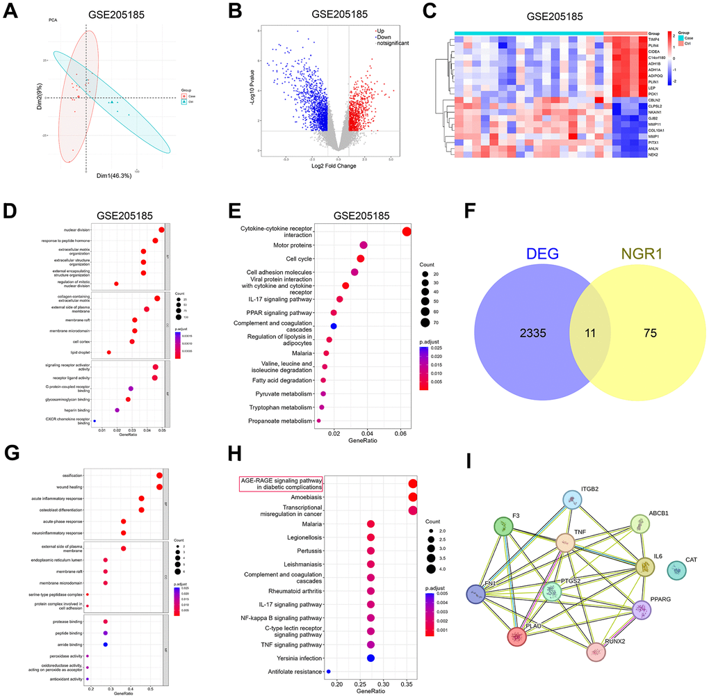 Prediction of potential target genes and signaling pathways of NGR1 in breast cancer. (A) The GSE205185 dataset was downloaded, and the R package “FactoMineR” and “factoextra” were used to perform principal component analysis on the two sets of samples. (B) Volcano map of differentially expressed genes in the GSE205185 dataset (C) Heat map of differentially expressed genes clustering in the GSE205185 dataset graph. (D) GSE205185 differential gene GO function enrichment analysis. (E) GSE205185 differential gene KEGG function enrichment analysis. (F) CTD database download NGR1 target gene and GSE205185 dataset plotting Wayne’s diagram. (G) Intersecting gene GO function enrichment analysis. (H) Intersecting gene KEGG functional enrichment analysis. (I) Intersecting genes PPI network diagrams.