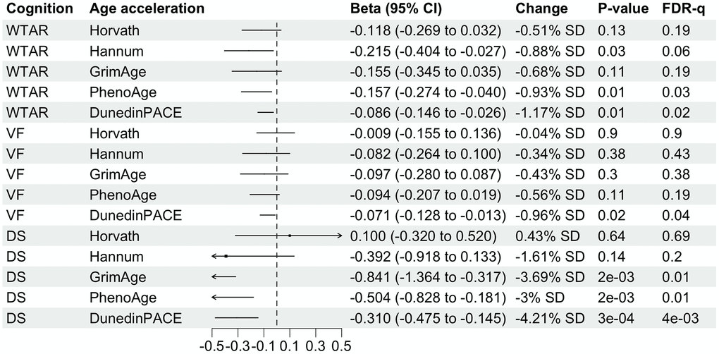 Forest plot showing associations of midlife DNA methylation age acceleration with midlife cognitive function. Betas divided by 100 were shown for associations with DunedinPACE for better visualization. Column “Change” is showing that 1-standard deviation (SD) change in DNA methylation age acceleration is associated with X.XX-unit change in midlife cognitive function. SD for each DNA methylation age can be found in Table 1.