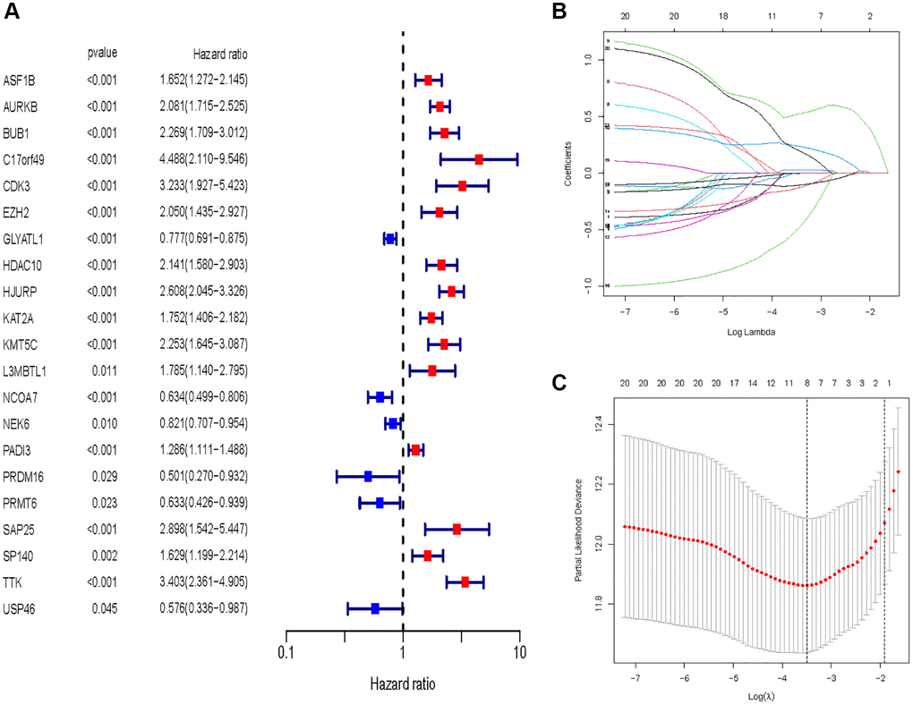 Identification of HMs for construction of risk model. (A) Identification of differentially expressed HMs associated with prognosis of KIRC samples by univariate analysis. (B) Elimination of HMs with model overfitting by LASSO analysis. (C) Tenfold cross-validation for tuning parameter selection in the LASSO analysis.