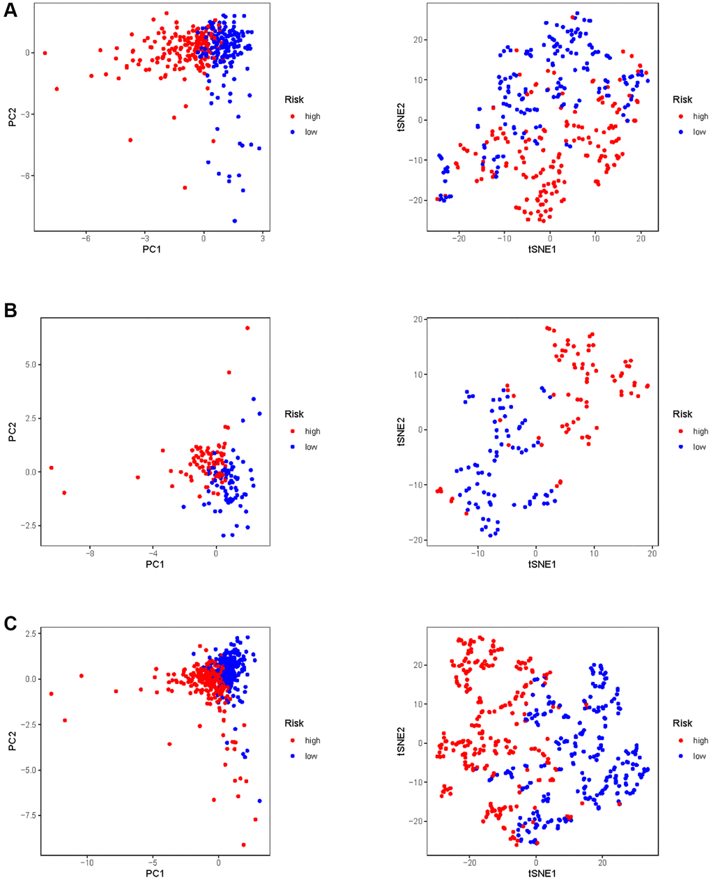 PCA and t-SNE analysis of risk model in KIRC. (A) PCA and t-SNE analysis of risk model in training set. (B) PCA and t-SNE analysis of risk model in test set. (C) PCA and t-SNE analysis of risk models in entire set.