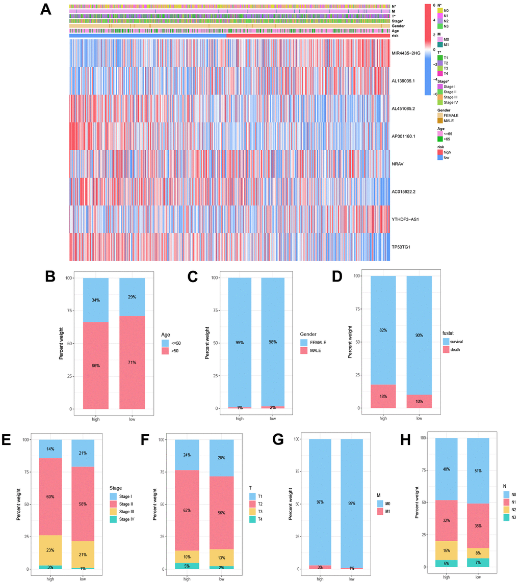 Correlation analysis of disulfidptosis-associated lncRNAs (DALs) with diverse clinical characteristics. (A) Heatmap illustrating the correlation between DALs and risk levels, along with various clinical attributes. (B) Age, (C) gender, (D) survival status, (E) staging, (F) T, (G) N, and (H) M distinctions between the high and low-risk cohorts.